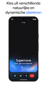 Screenshotafbeelding