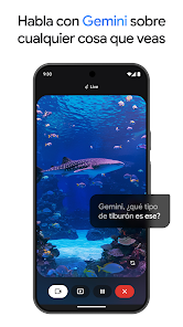 Imagen de la captura de pantalla