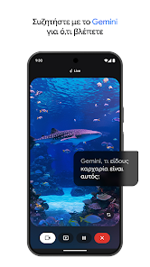 Εικόνα στιγμιότυπου οθόνης