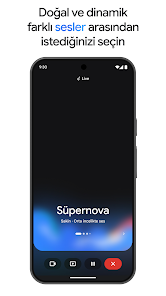 Ekran görüntüsü resmi