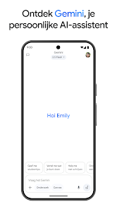 Screenshotafbeelding