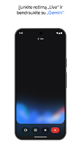 Ekrano kopijos vaizdas