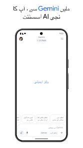 اسکرین شاٹ کی تصویر