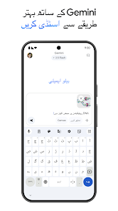 اسکرین شاٹ کی تصویر