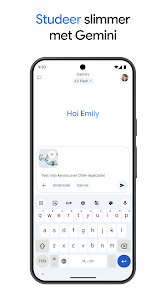 Screenshotafbeelding