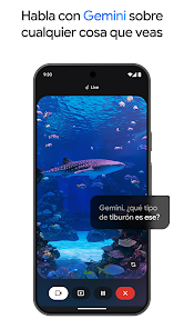 Imagen de la captura de pantalla